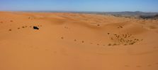 J-Lo in dunes.JPG