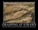 grasping-at-straws.jpg