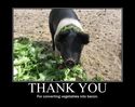thank-you-for-converting-vegetables-into-bacon.jpg